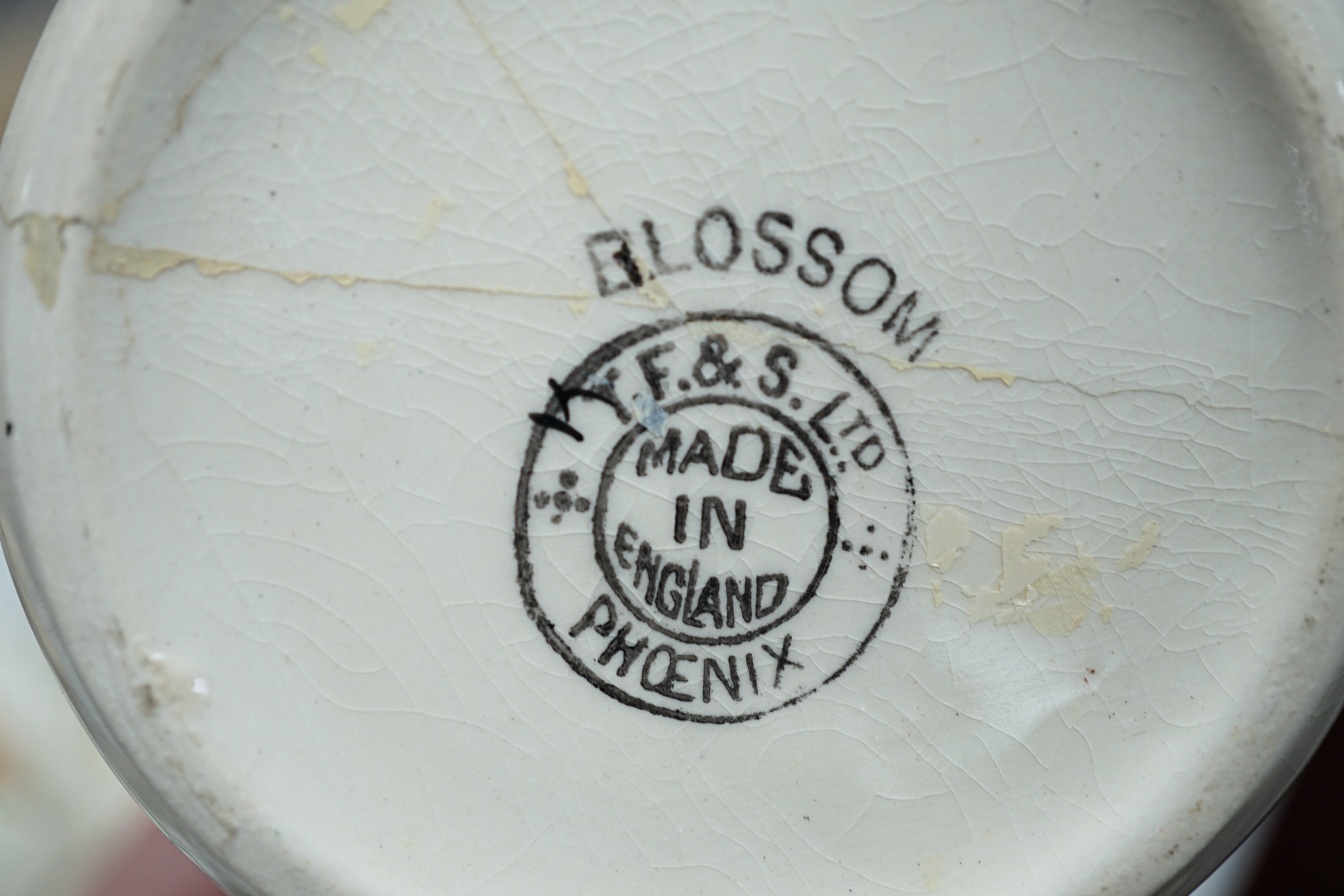 A T. F & S. Blossom pattern tea and coffee service
